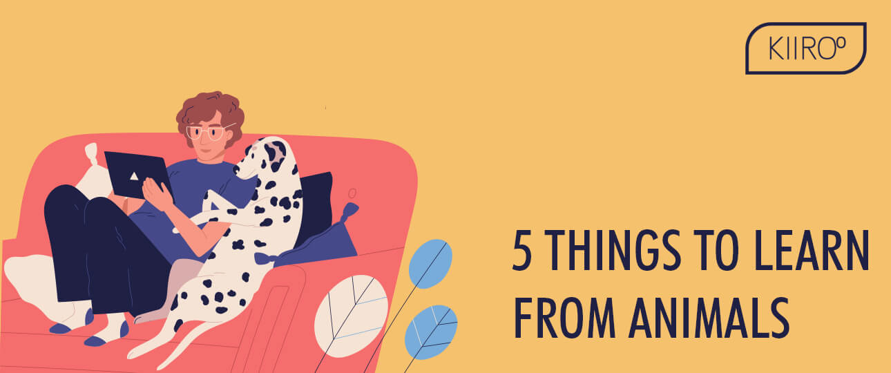 5 things humans can learn from animals kiiroo