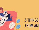KIIROO-5 Things Humans Can Learn From Animals