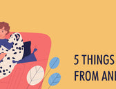 5 Things Humans Can Learn From Animals