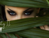 The Garden Party II: An Erotic Story by KIIROO