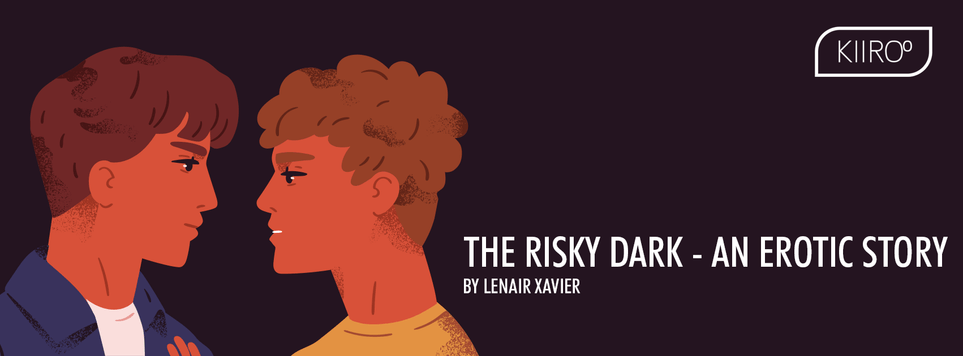 The Risky Dark - An Erotic Story