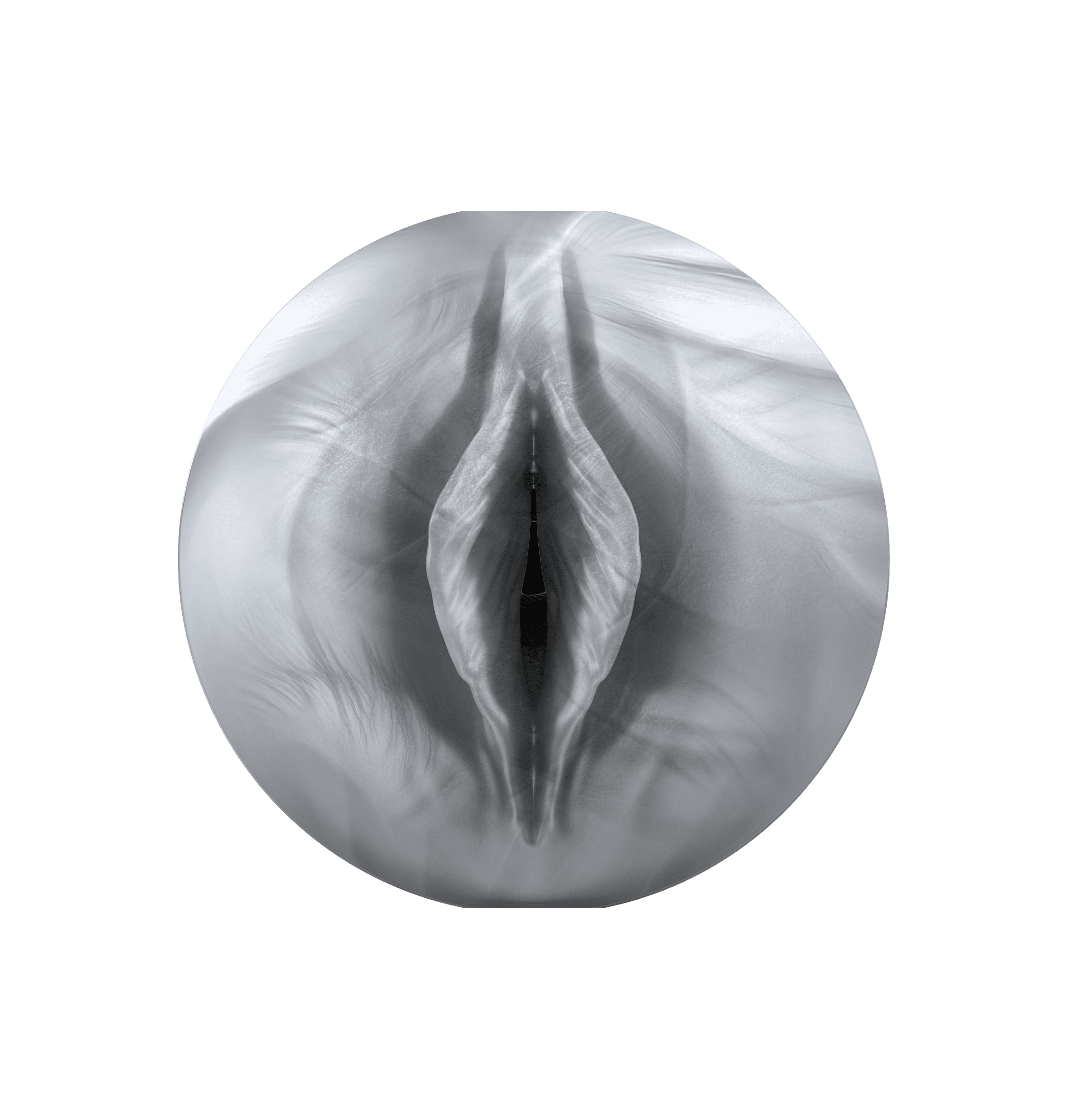 FeelArgenta Stroker + Keon + PowerBlow