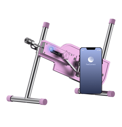 PleasureDrive, and FeelConnect, the app which connects the machine and pornographic videos