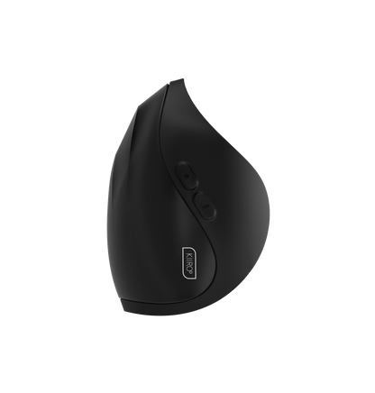 Pulse Solo Interactive back